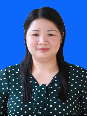 nguyehongchinh