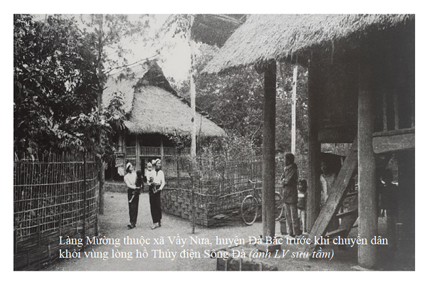 thacbo345