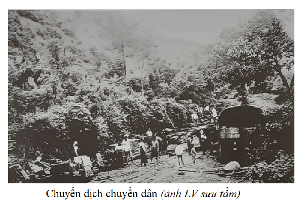 thacbo789
