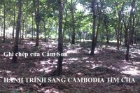 HÀNH TRINH SANG CAMBODIA